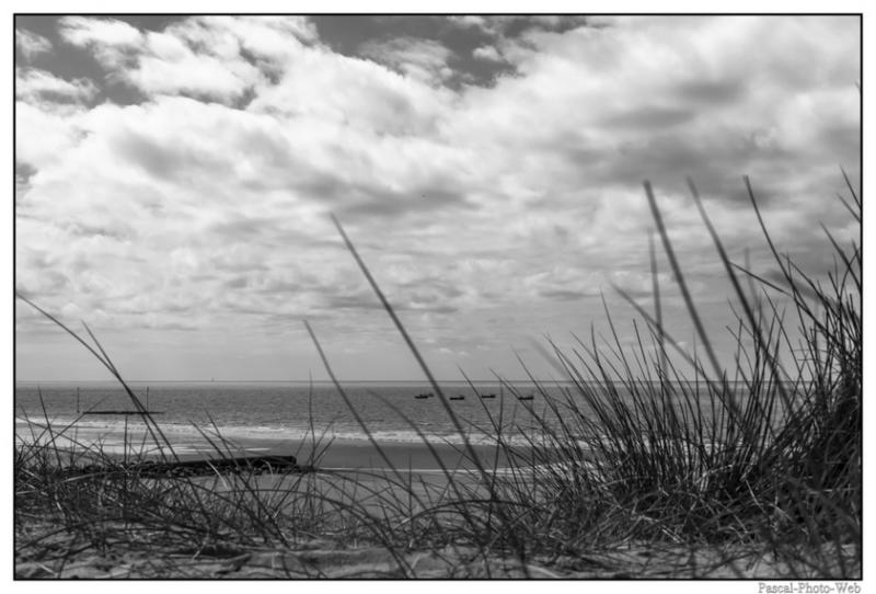 #Pascal-Photo-Web #Pirou #Paysage #Manche #France #Litoral #Balnaire #plage #Normandie #sable #dune #touristique #mer