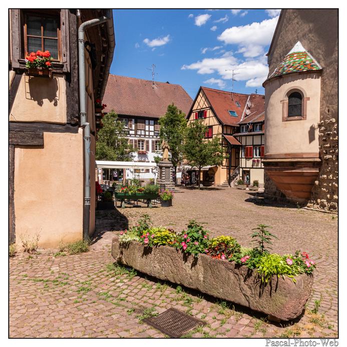 #Pascal-Photo-Web #Village #medieval #Paysage #67 #bas-rhin #France #alsace #patrimoine #touristique #Eguisheim