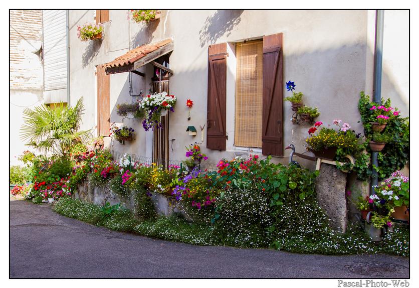 #Pascal-Photo-Web #photo #Occitanie #Tarn-et-garonne #paysage #france #82 #Agen