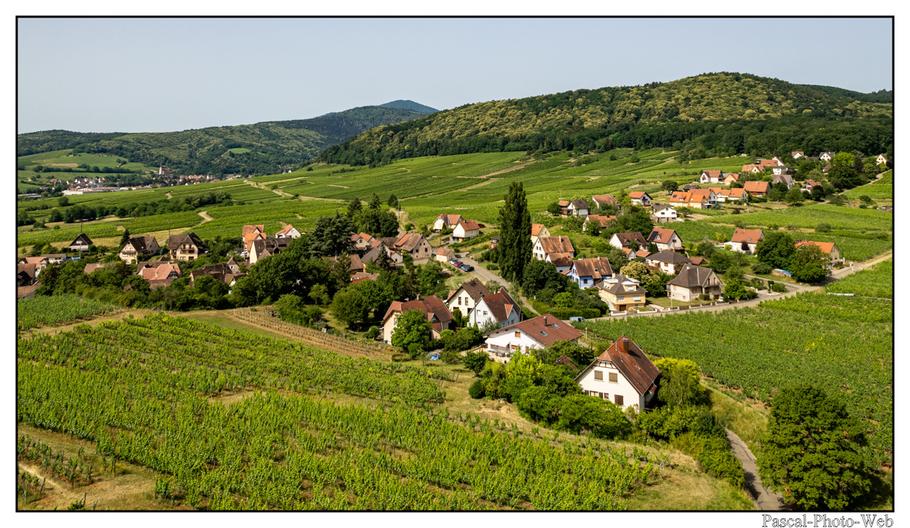 #paysages #campagne #Mittelbergheim #pascal-photo-web #Alsace #Bas-Rhin #67 #france #nord #est #patrimoine