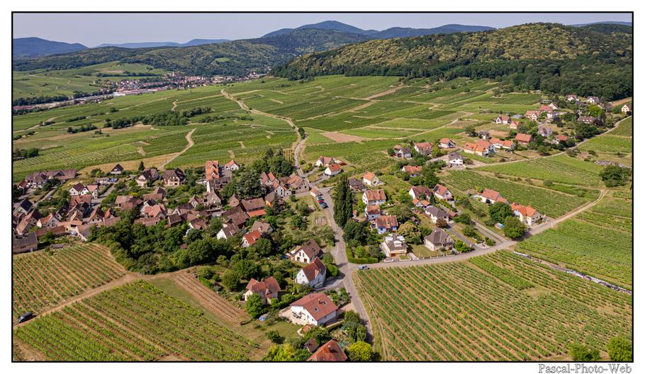 #paysages #campagne #Mittelbergheim #pascal-photo-web #Alsace #Bas-Rhin #67 #france #nord #est #patrimoine