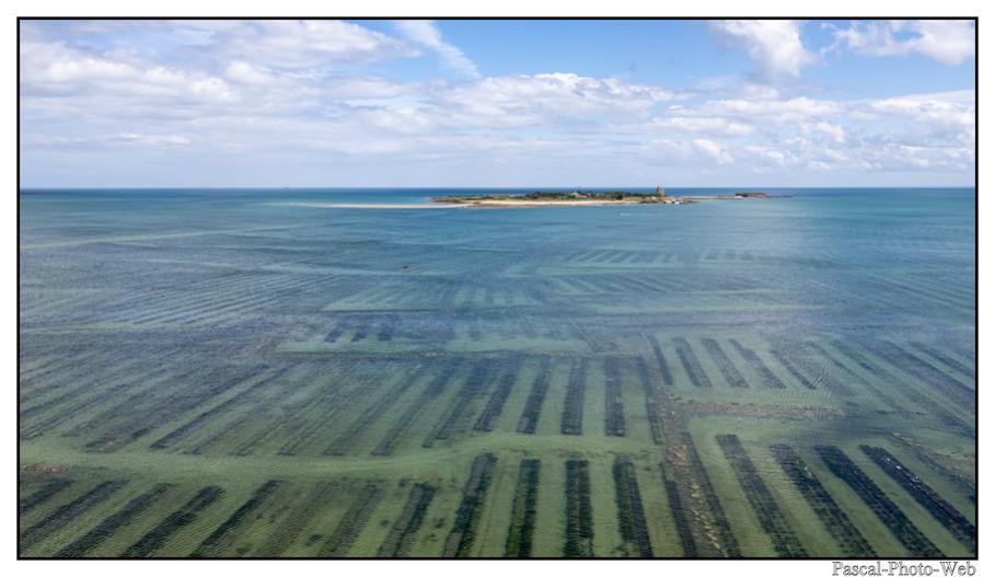 #Drone#paysages #urbain #saintvaastlahouge #pascal-photo-web #normandie #manche #50 #france #nord #ouest #patrimoine