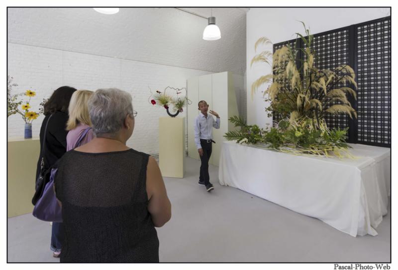 #Pascal-Photo-Web #le havre #LH #exposition #les jardins suspendus #patrimoines #Arts #Normandie #seine-maritime