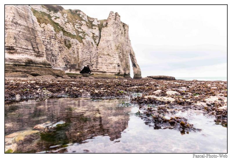 #Pascal-Photo-Web #Etretat #Paysage #Seine-Maritime #France #Litoral #Balnaire #Lupin #Falaise #Normandie #76 Galets #patrimoine #plage #touristique #mer