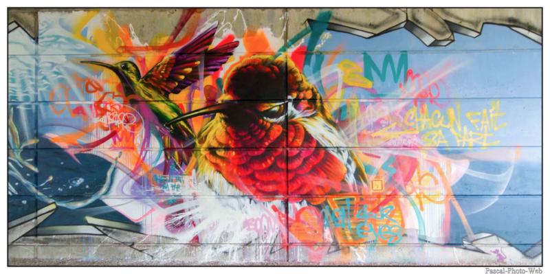 #Pascal-Photo-Web #photographie #france #normandie #lehavre #street art #graffe #Art