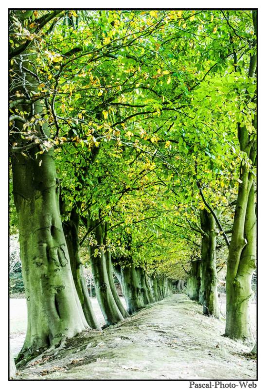 #parcderouelle #arbre #autonme #lehavre #pascal-photo-web #normandie #seine-maritime #76 #france #nord #ouest #patrimoine