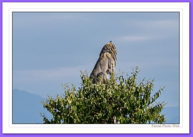 #Pascal-Photo-Web